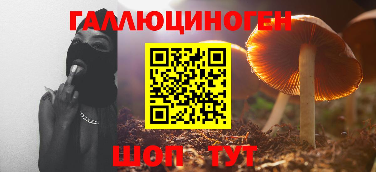 Галлюциногенные грибы мицелий  Вход с VPN  Асино 