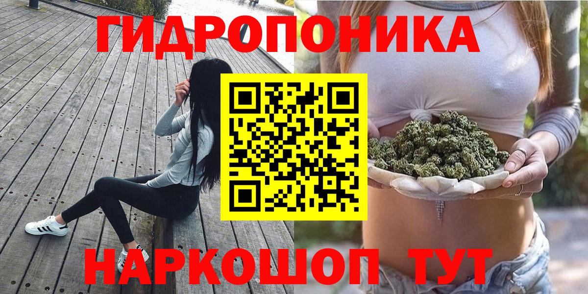 Бошки Шишки семена  Конопля SATIVA & INDICA  Вход с VPN  Конопля семена  Асино  Конопля планчик 