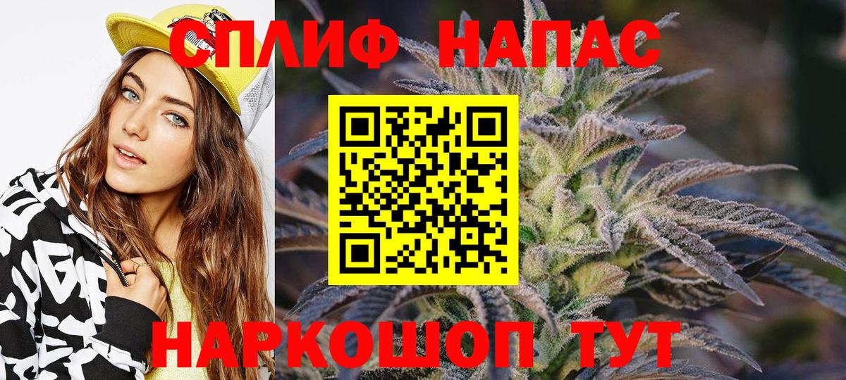 Конопля планчик Асино